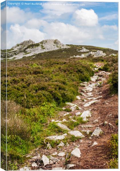 Shropshire Way Path and Stiperstones  Canvas Print by Pearl Bucknall