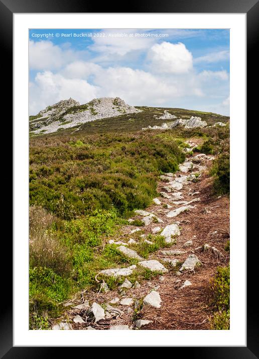 Shropshire Way Path and Stiperstones  Framed Mounted Print by Pearl Bucknall