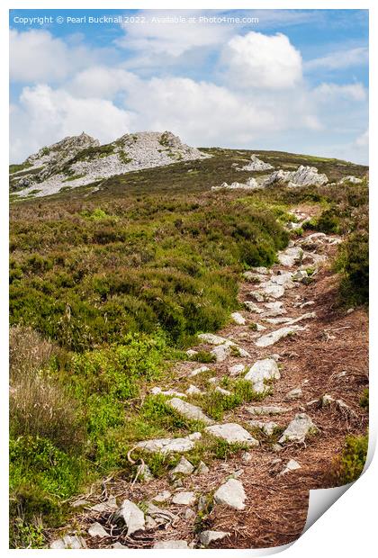Shropshire Way Path and Stiperstones  Print by Pearl Bucknall