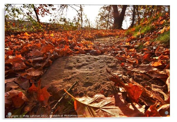 Autumn Trails Acrylic by Philip Lehman