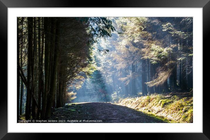 Early morning rays Framed Mounted Print by Stephen Jenkins