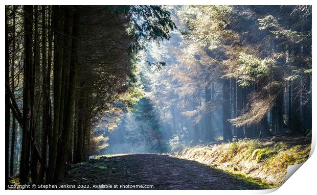 Early morning rays Print by Stephen Jenkins