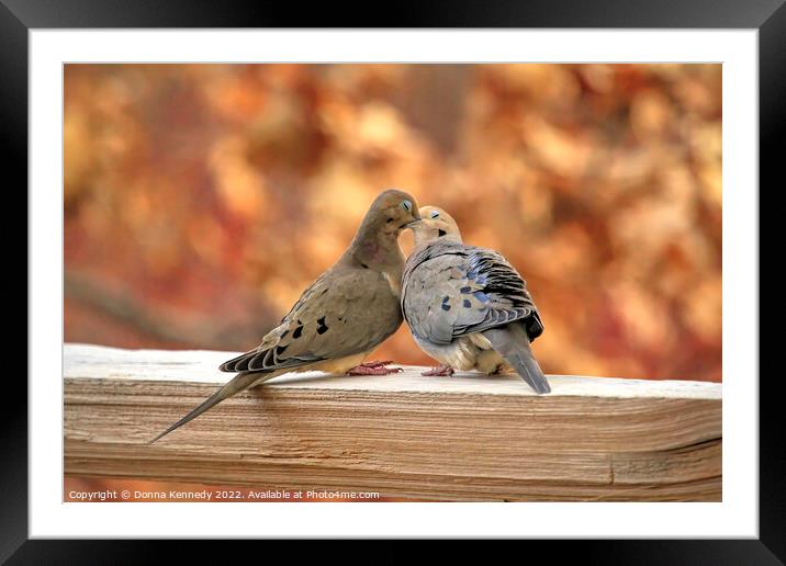 Love Birds Framed Mounted Print by Donna Kennedy