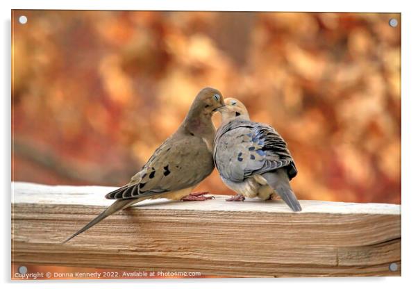 Love Birds Acrylic by Donna Kennedy