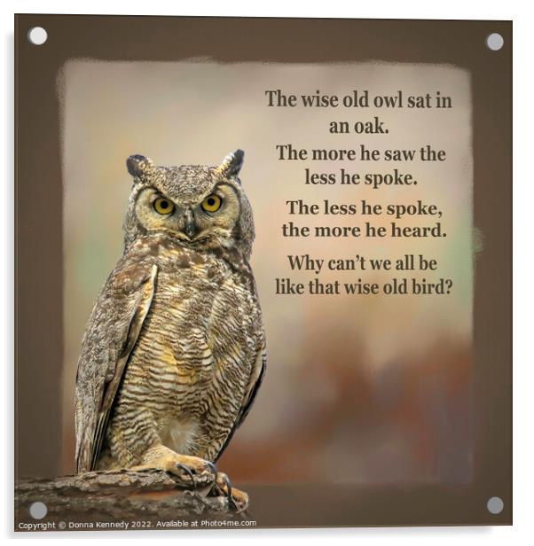 The Wise Old Owl Poem Acrylic by Donna Kennedy