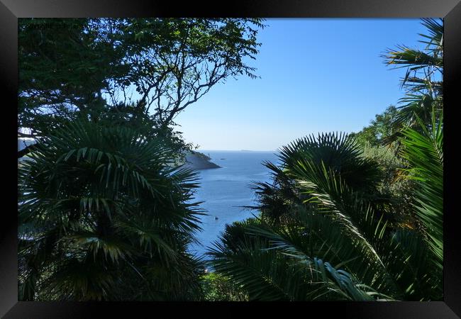 View from Lamorran House,Tropical Gardens, St Mawe Framed Print by Peter Hodgson