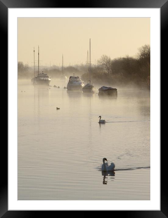 Tranquility at the Quay Framed Mounted Print by David Neighbour