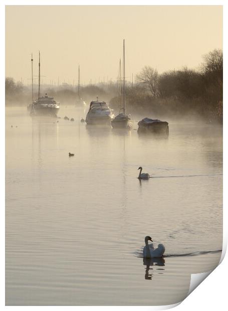 Tranquility at the Quay Print by David Neighbour