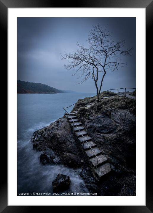 Moody day at the Babbacombe tree Framed Mounted Print by Gary Holpin