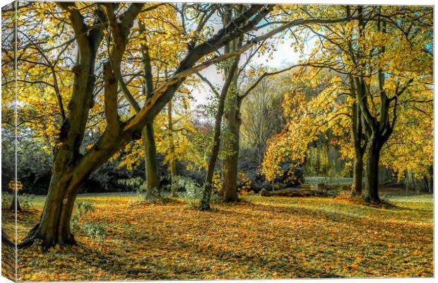 Autumn colours Canvas Print by tim miller
