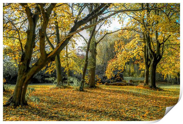 Autumn colours Print by tim miller