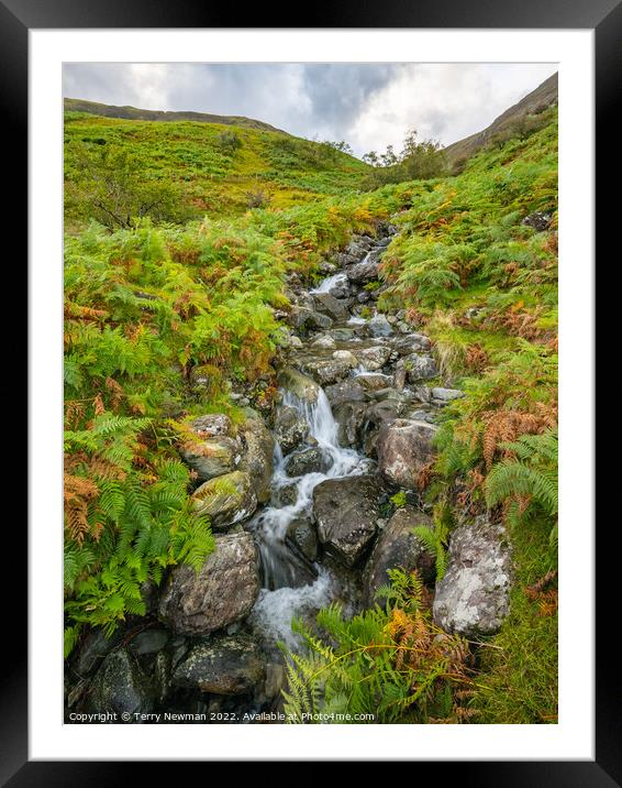 Majestic Buttermere Falls in Autumn Framed Mounted Print by Terry Newman