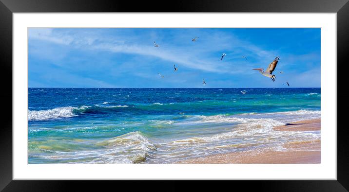 indian ocean beach scene Framed Mounted Print by tim miller