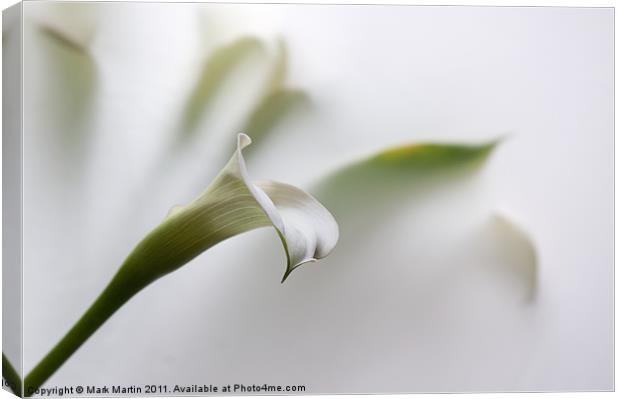 One White Lily Canvas Print by Mark Martin