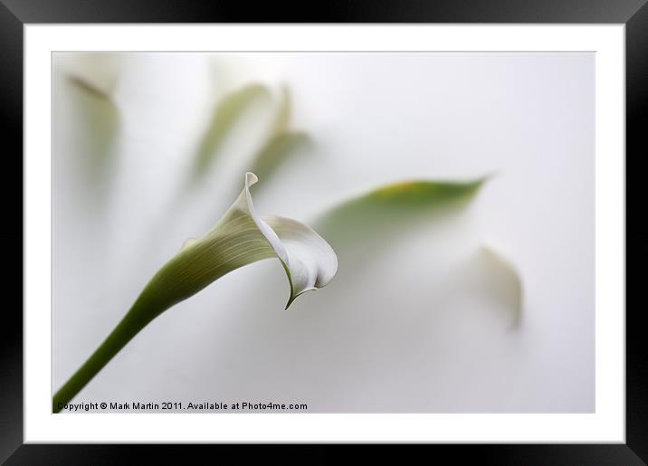 One White Lily Framed Mounted Print by Mark Martin