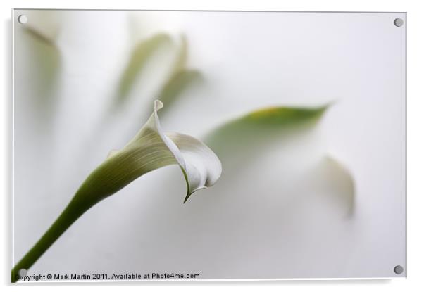 One White Lily Acrylic by Mark Martin