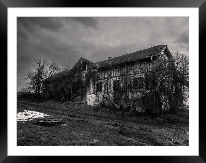 Abandoned House Overgrown with Plants Black and White Framed Mounted Print by Dietmar Rauscher
