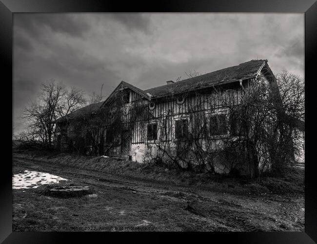Abandoned House Overgrown with Plants Black and White Framed Print by Dietmar Rauscher