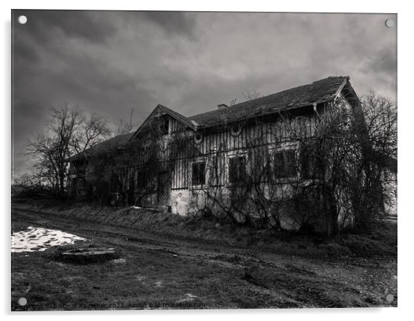 Abandoned House Overgrown with Plants Black and White Acrylic by Dietmar Rauscher