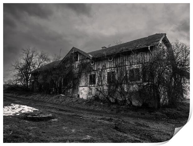 Abandoned House Overgrown with Plants Black and White Print by Dietmar Rauscher