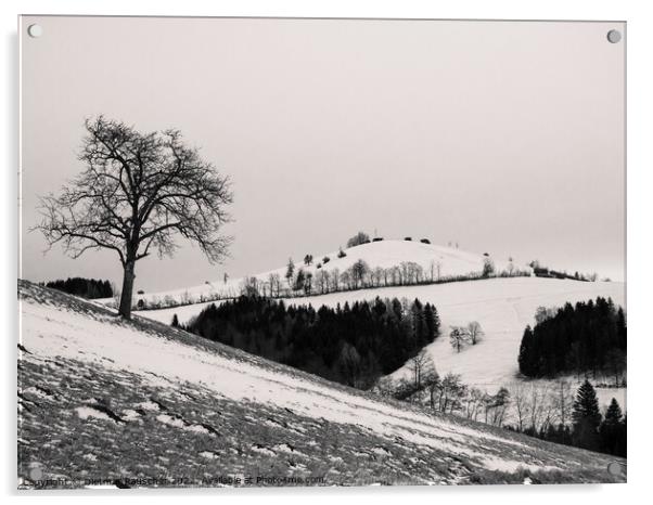 Winter Landscape of the Summit of Mount Hochkogel in Lower Austr Acrylic by Dietmar Rauscher