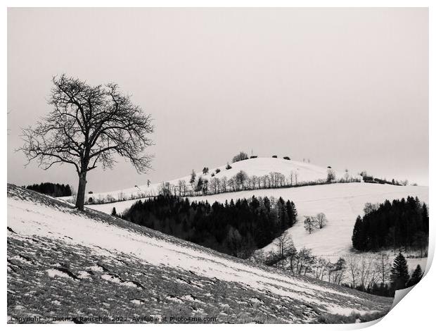 Winter Landscape of the Summit of Mount Hochkogel in Lower Austr Print by Dietmar Rauscher