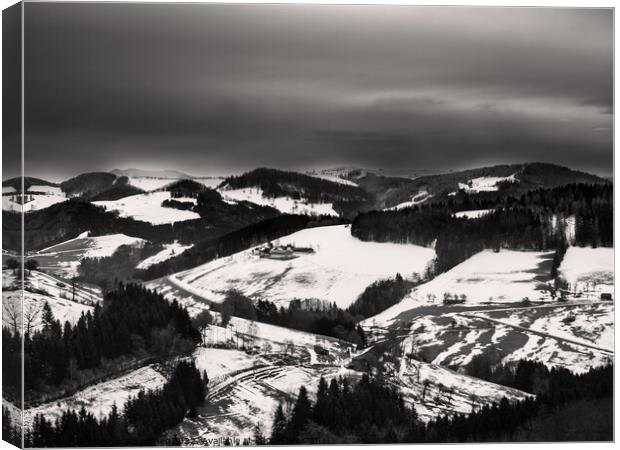 Black and White Winter Landscape in Mostviertel, Austria Canvas Print by Dietmar Rauscher