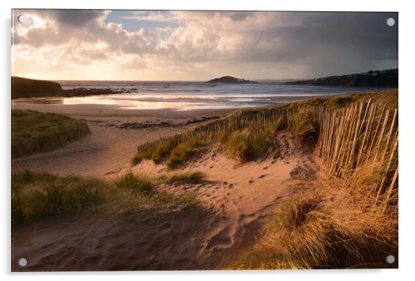 Stormy Skies at Bantham Beach Acrylic by David Neighbour