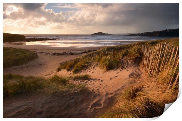 Stormy Skies at Bantham Beach Print by David Neighbour