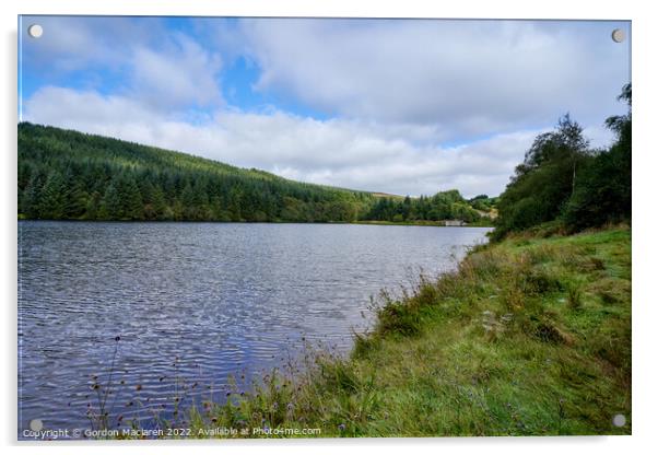 Cantref Reservoir in the beautiful Brecon Beacons Acrylic by Gordon Maclaren