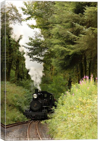 Steaming through the forest. Canvas Print by Glyn Evans