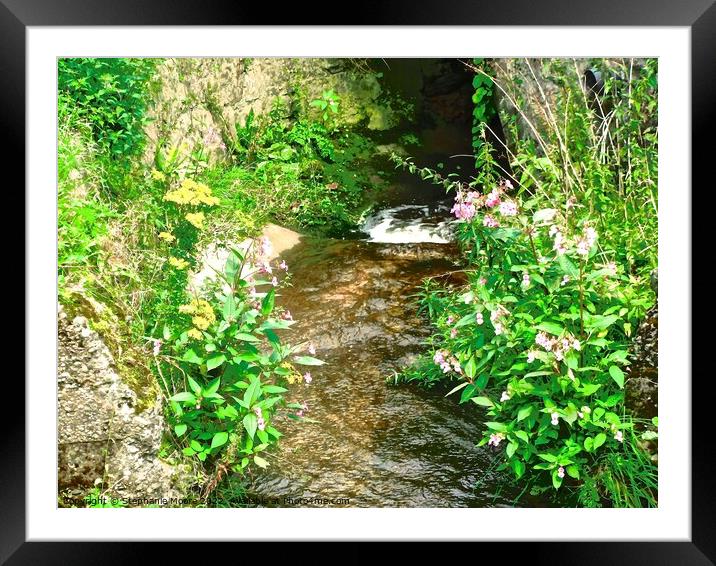 Small stream with flowers Framed Mounted Print by Stephanie Moore