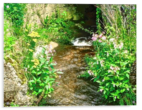 Small stream with flowers Acrylic by Stephanie Moore