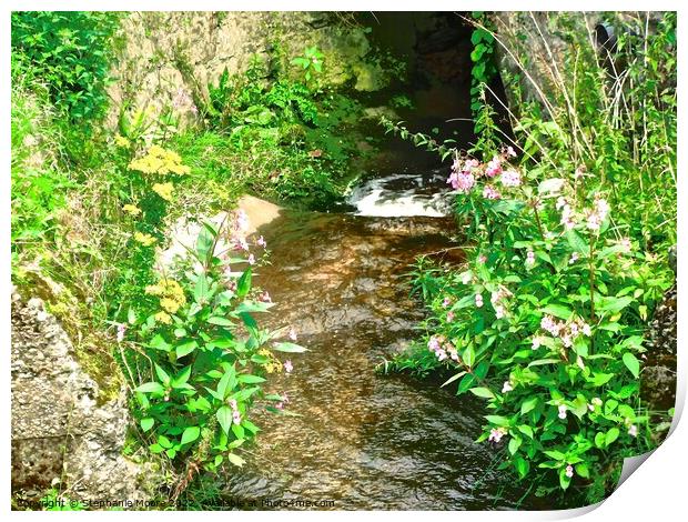 Small stream with flowers Print by Stephanie Moore