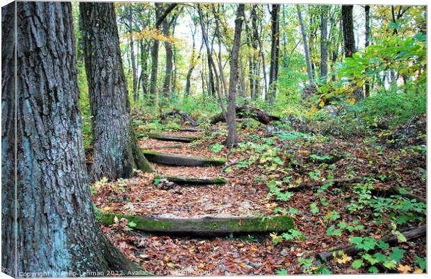 Path Canvas Print by Philip Lehman