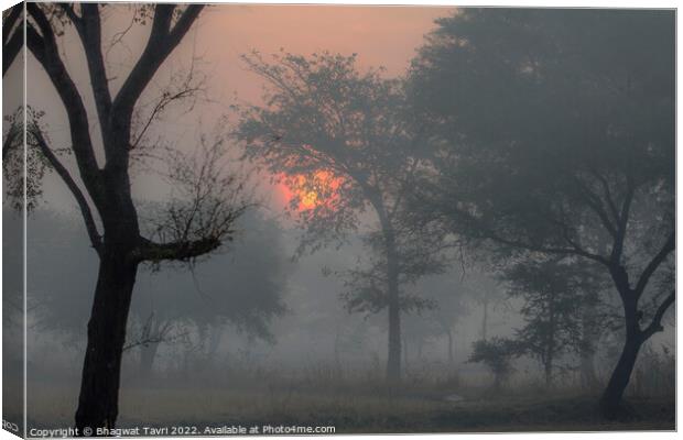 A Misty Morning.... Canvas Print by Bhagwat Tavri