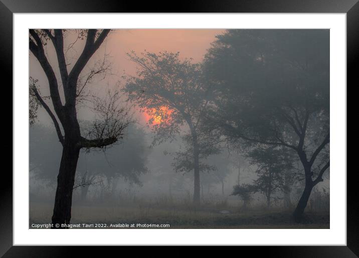 A Misty Morning.... Framed Mounted Print by Bhagwat Tavri