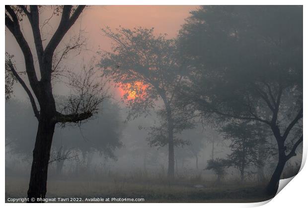 A Misty Morning.... Print by Bhagwat Tavri