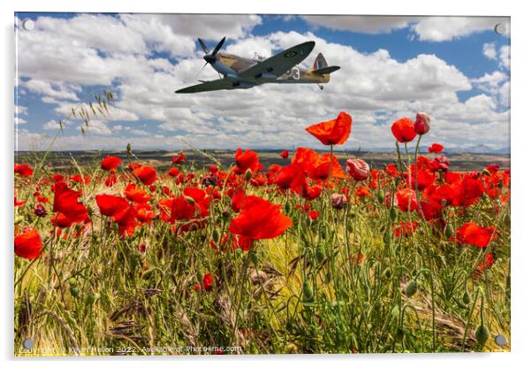 Spitfire fighter war plane flying over a poppy field. Acrylic by Kevin Hellon