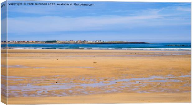 Beadnell Bay Beach Northumberland Coast Canvas Print by Pearl Bucknall