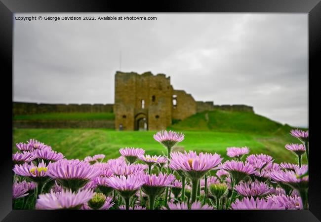 Flowers at the Castle Framed Print by George Davidson