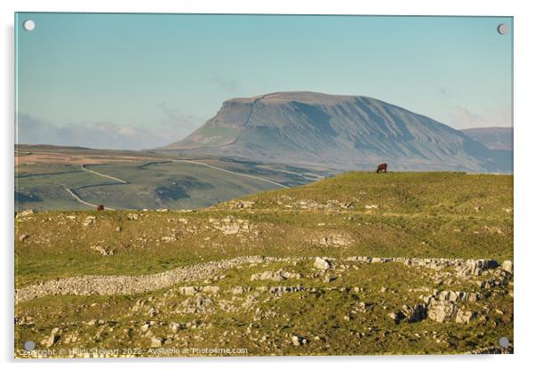 Pen-y-ghent, Yorkshire Dales Acrylic by Heidi Stewart