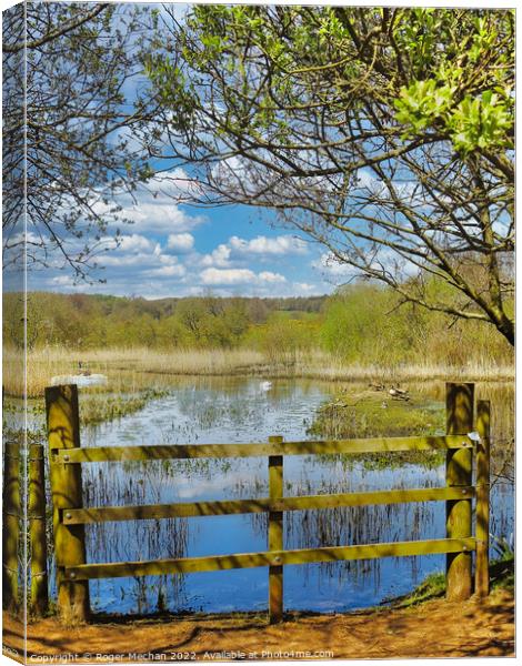 Serenity in Nature Canvas Print by Roger Mechan