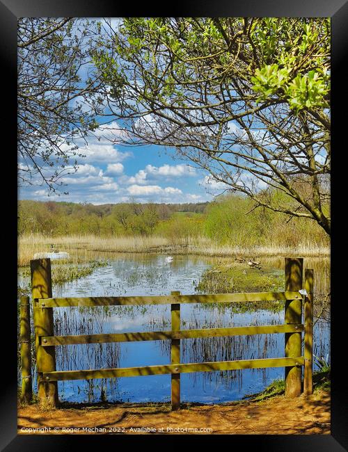 Serenity in Nature Framed Print by Roger Mechan