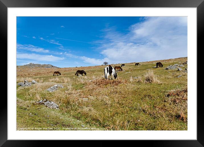 Wild Horses Roaming Framed Mounted Print by Roger Mechan