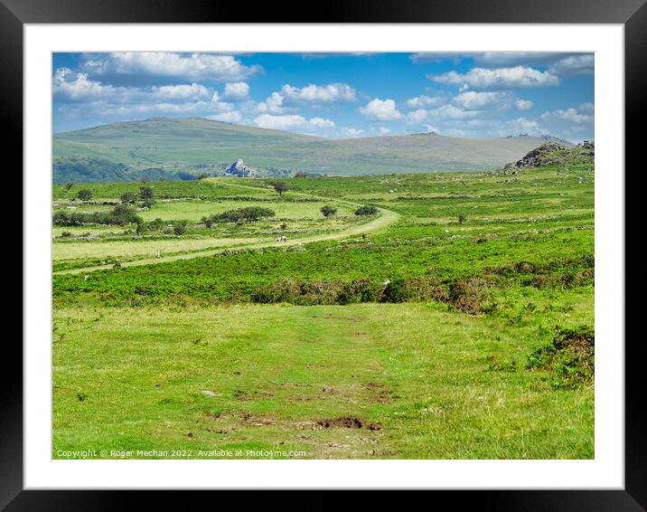 A Serpentine Track Through Dartmoor's Wild Beauty Framed Mounted Print by Roger Mechan