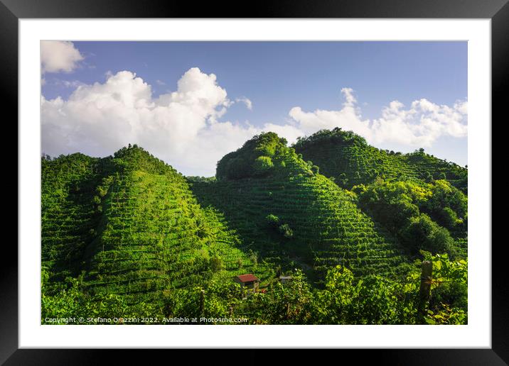 Prosecco Hills, uphill vineyards. Unesco Site. Veneto, Italy Framed Mounted Print by Stefano Orazzini