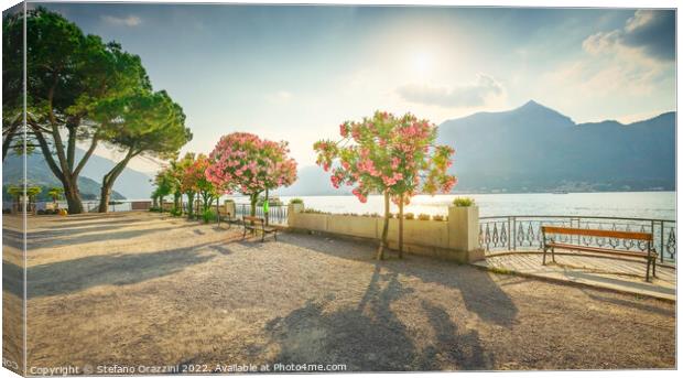 Bench and trees on the lakefront of Lake Como. Bellagio, Italy Canvas Print by Stefano Orazzini