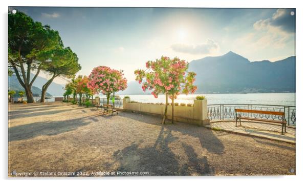 Bench and trees on the lakefront of Lake Como. Bellagio, Italy Acrylic by Stefano Orazzini