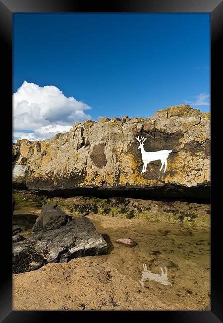 Stag Rock Framed Print by Kevin Tate